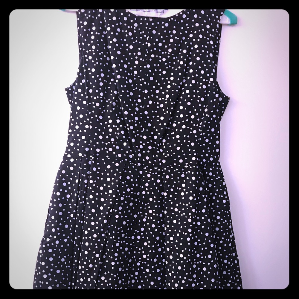 Taylor ALine Black Polka Dot Dress